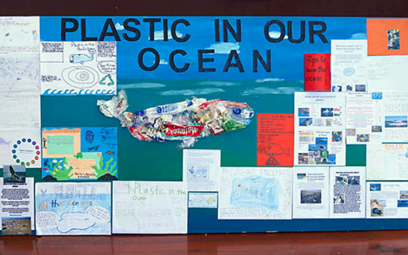 Whale Fest Plastics Poster