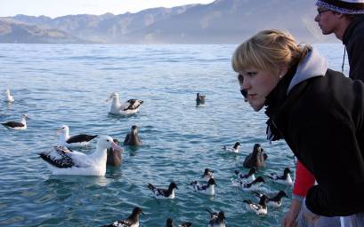 Seabird watching from Encounter II